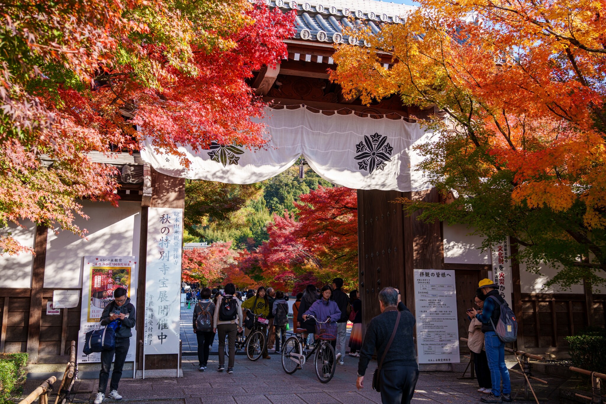 京都寺院