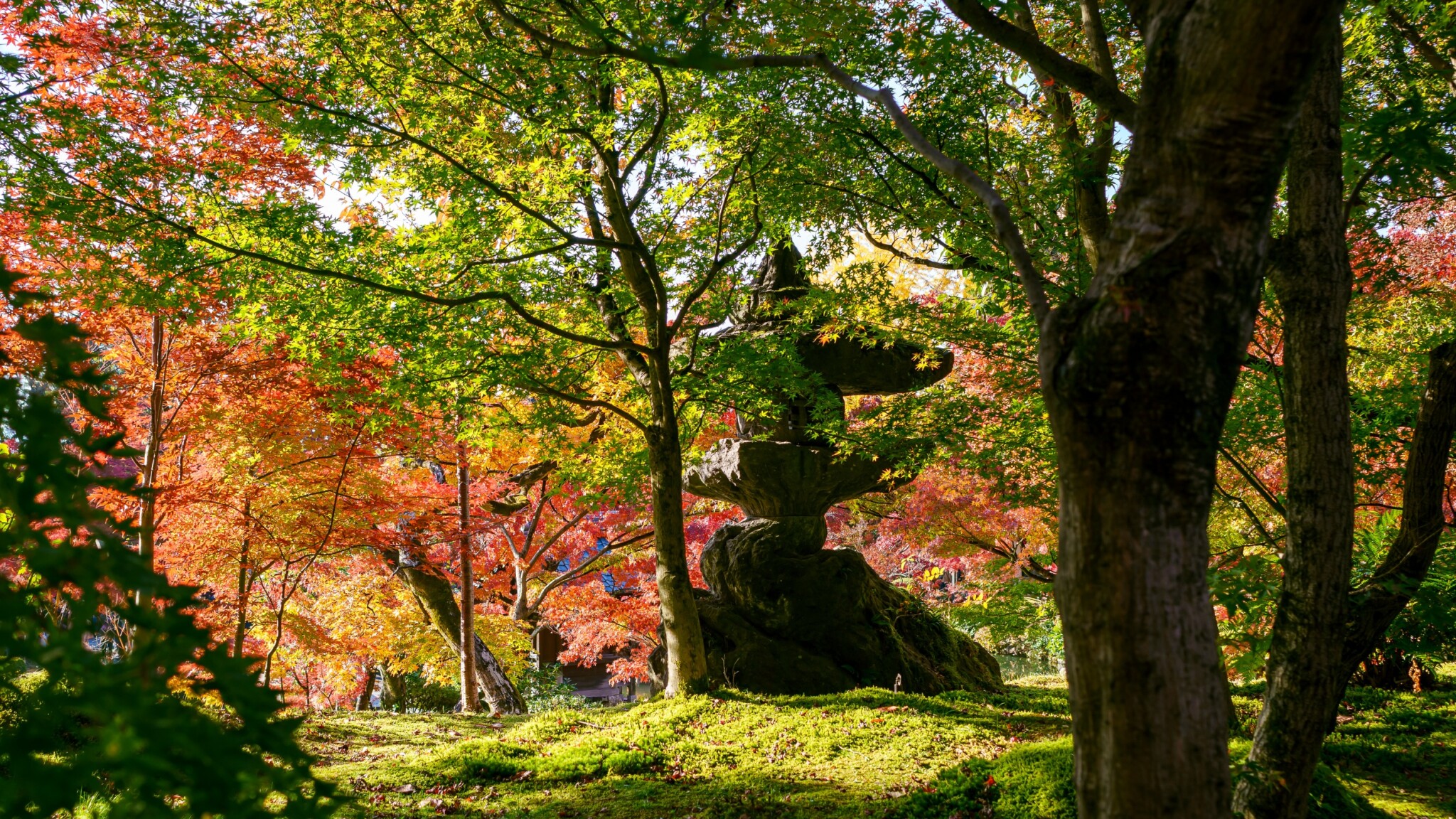 京都寺院