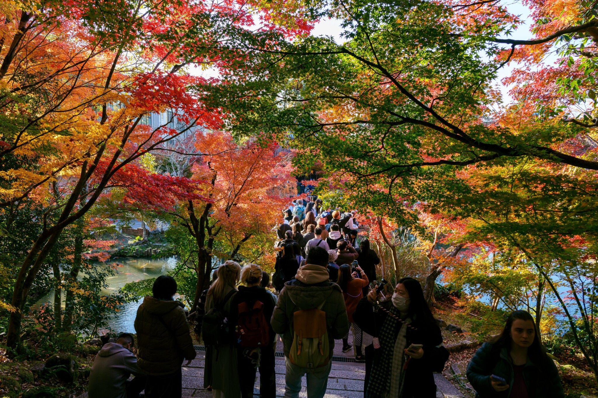 京都寺院