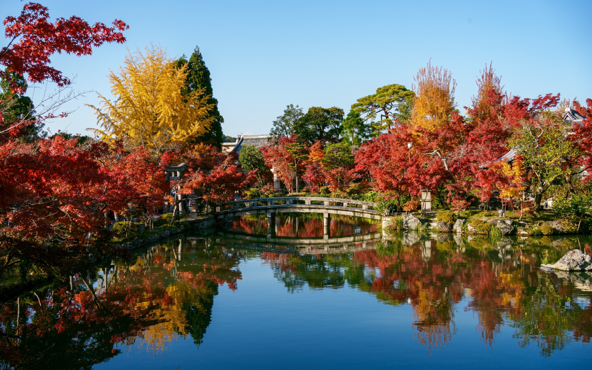 京都寺院
