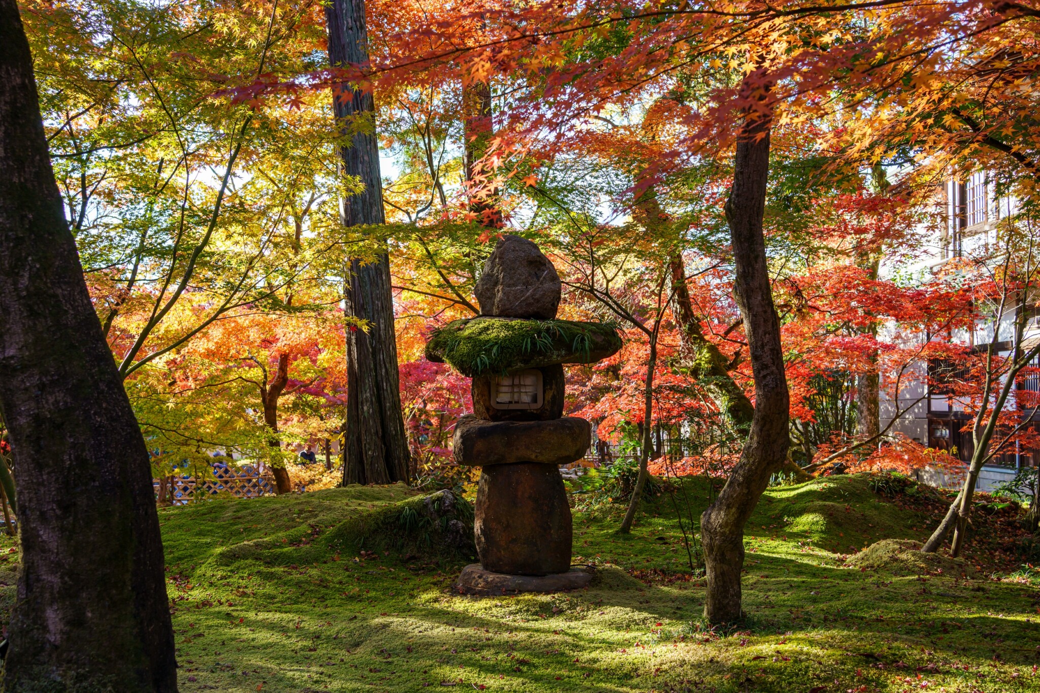 京都寺院