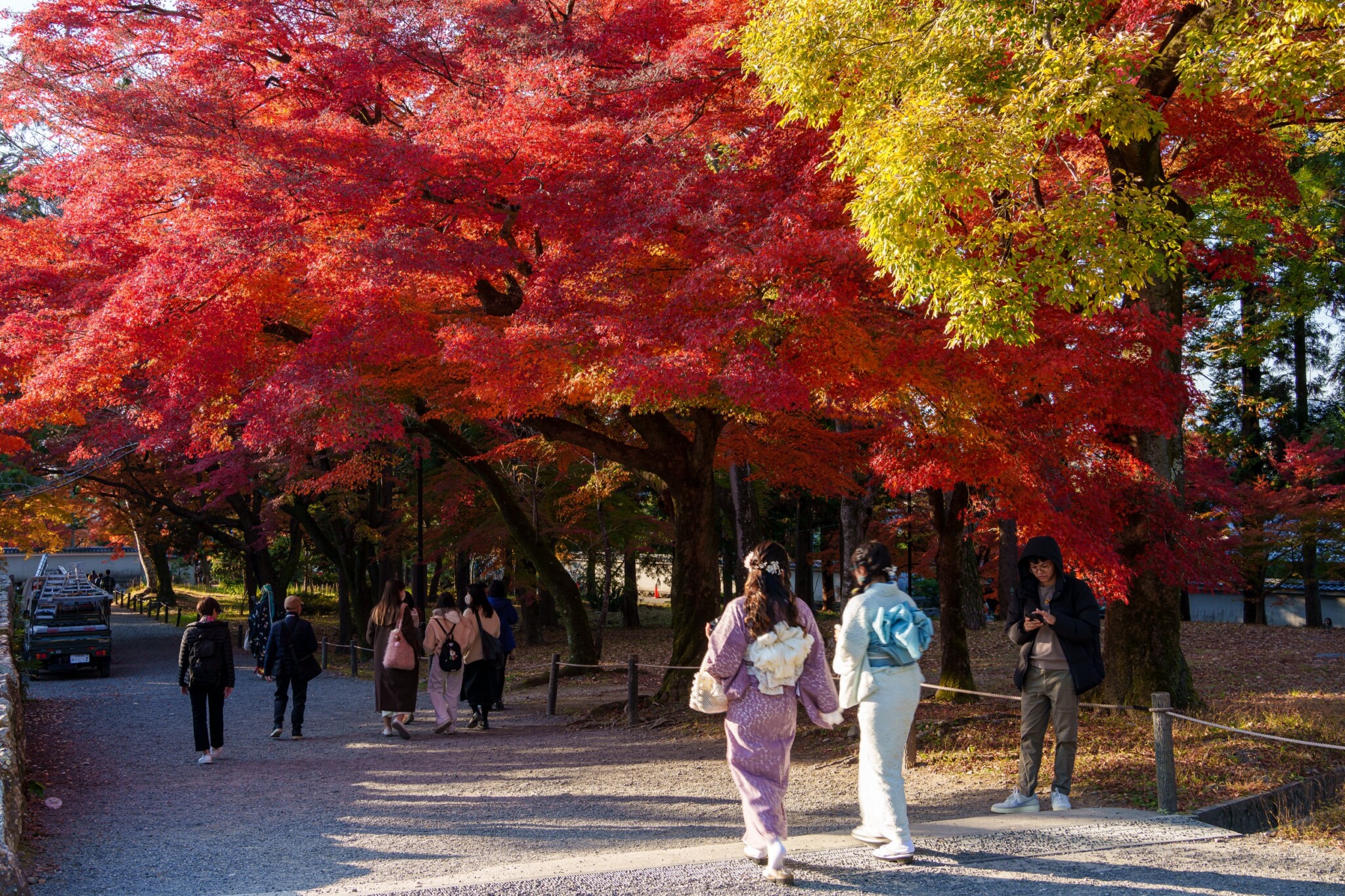 京都寺院