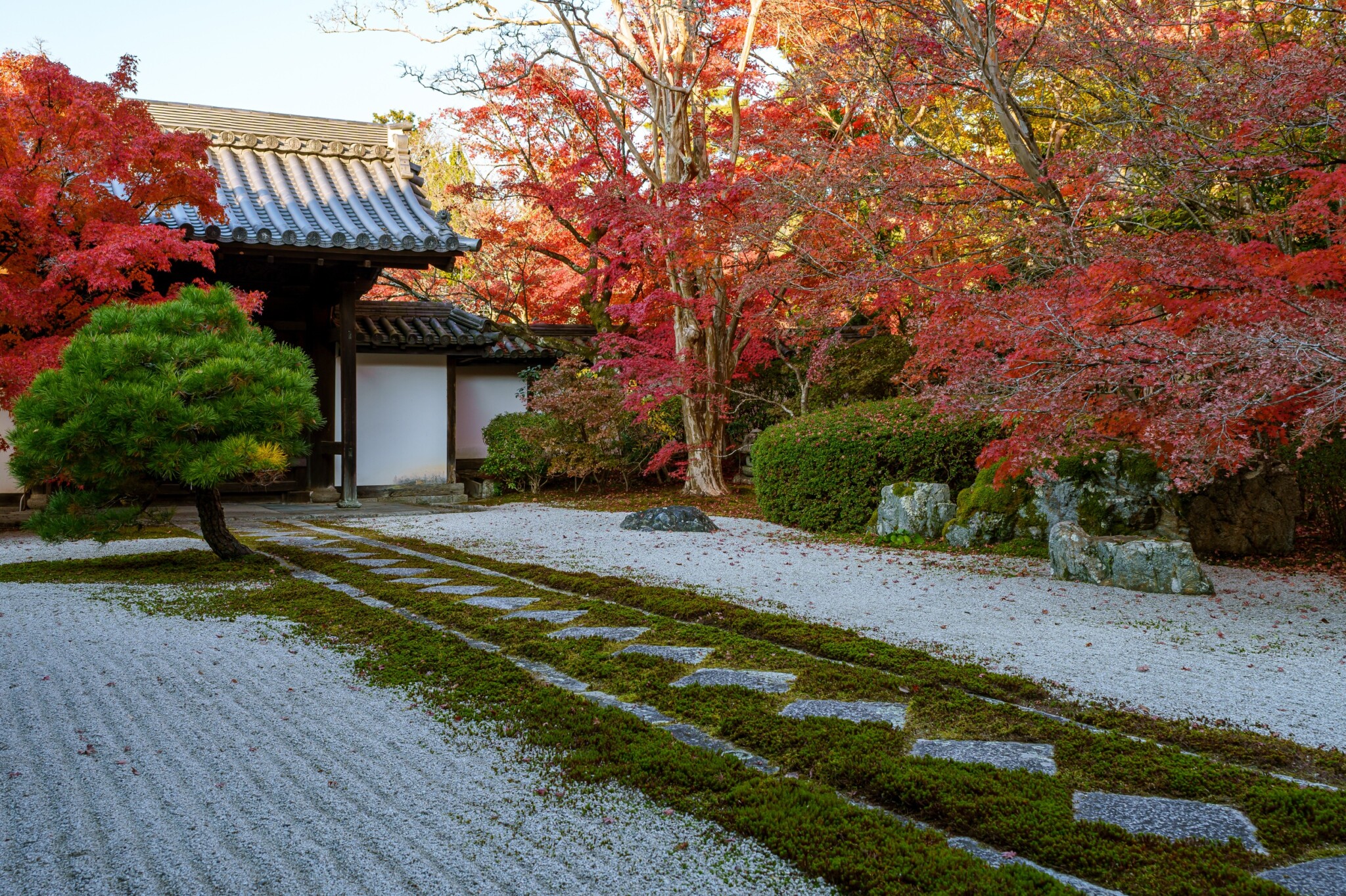 京都寺院