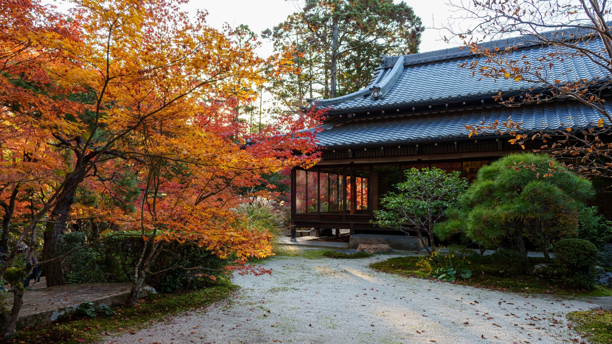 京都寺院