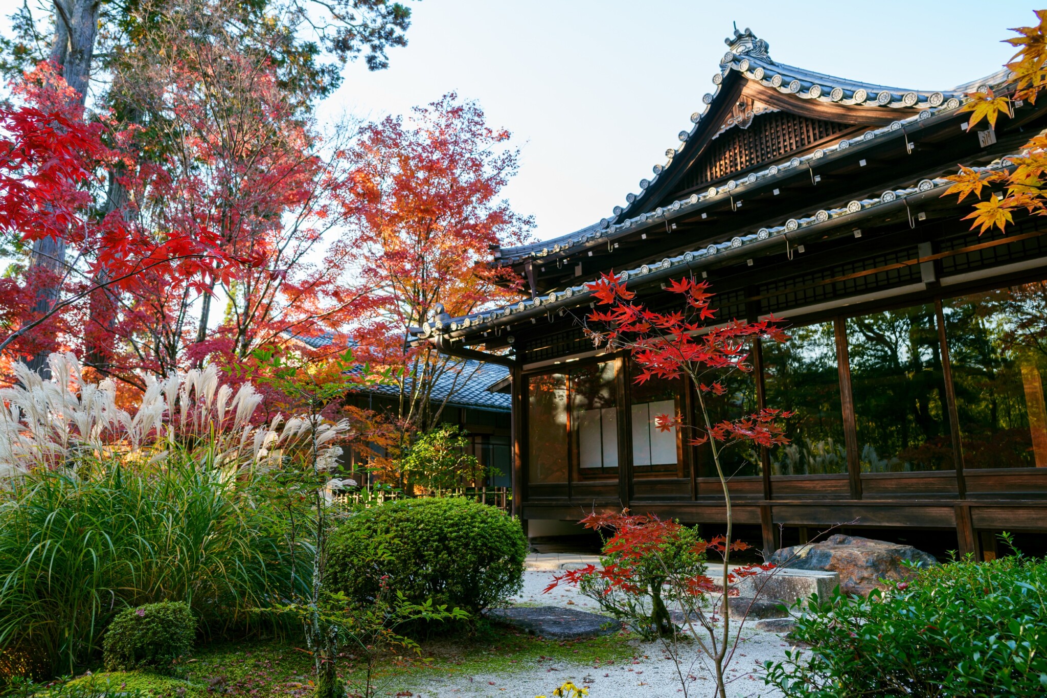 京都寺院