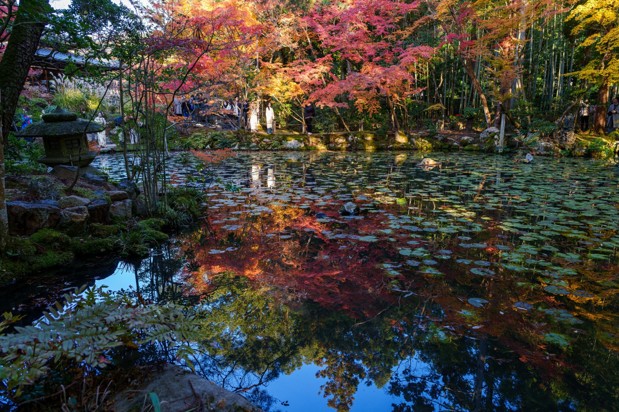 京都寺院
