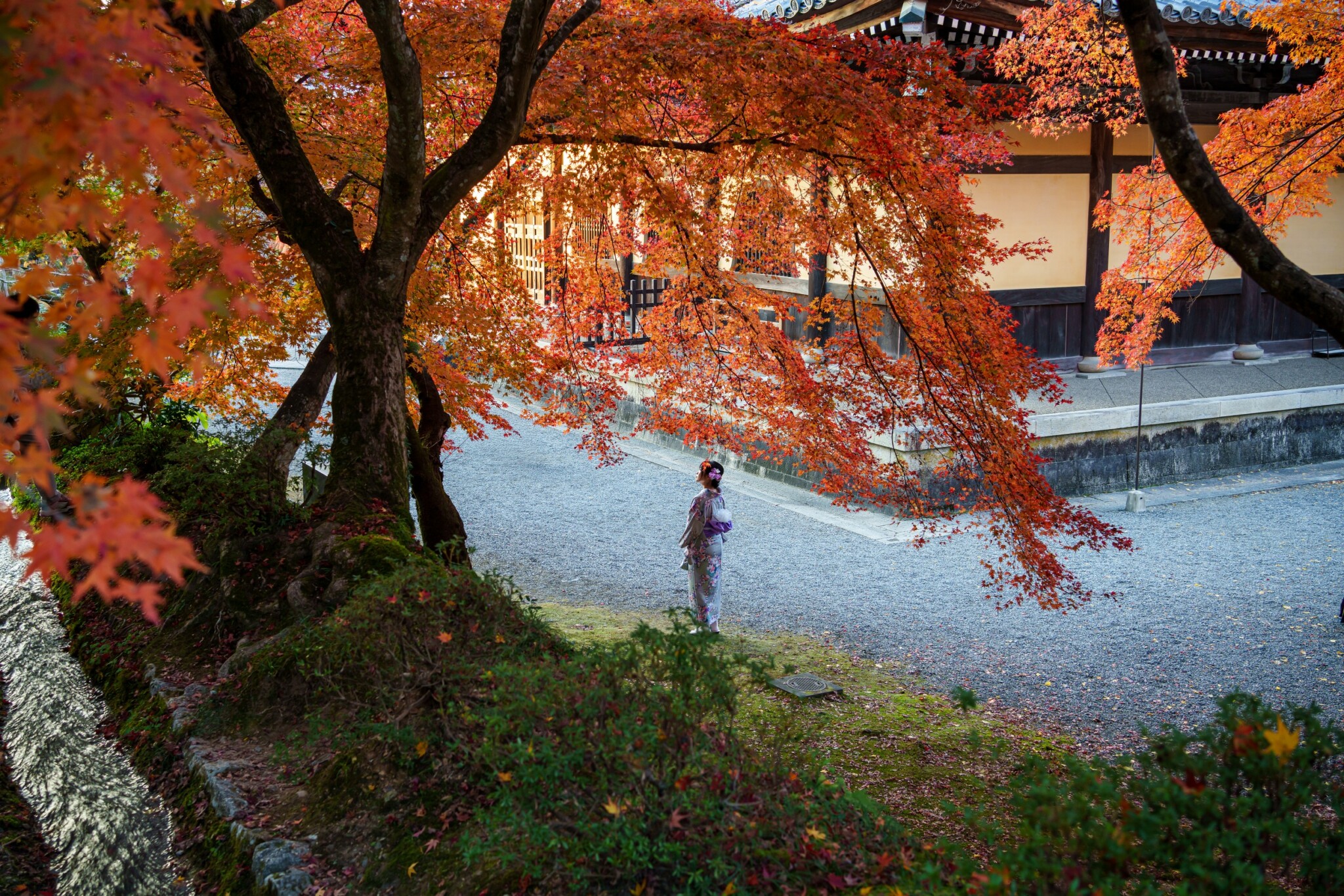 京都寺院