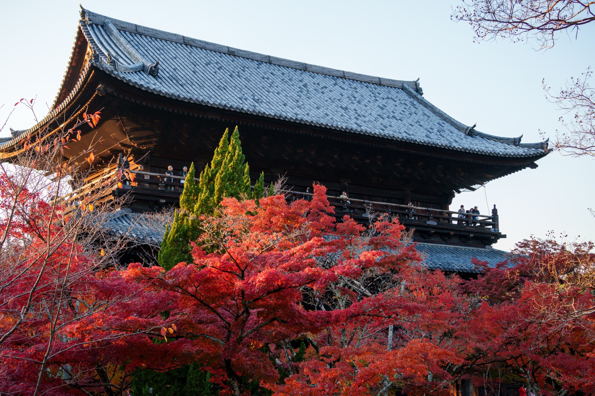 京都寺院