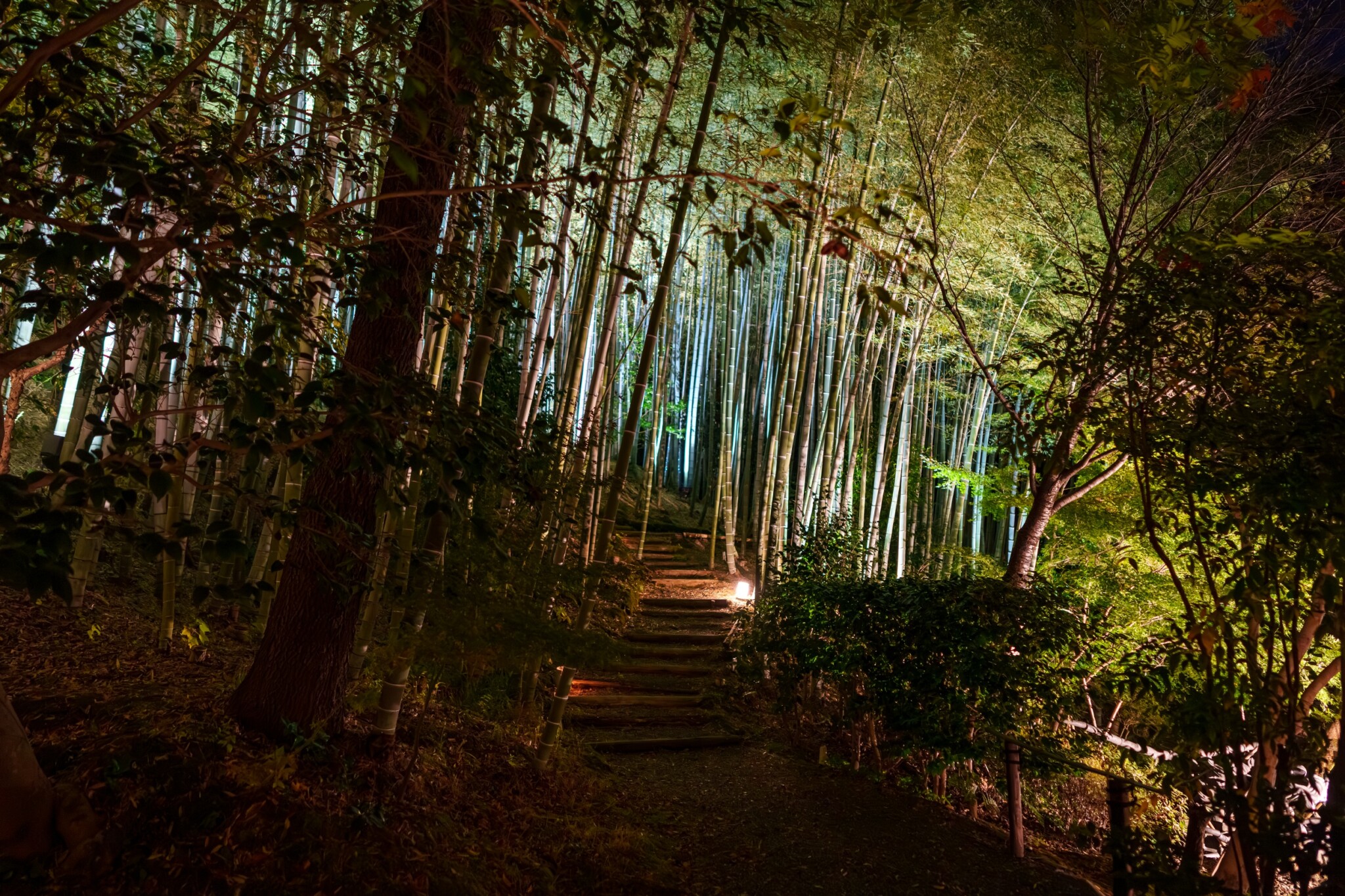 高台寺