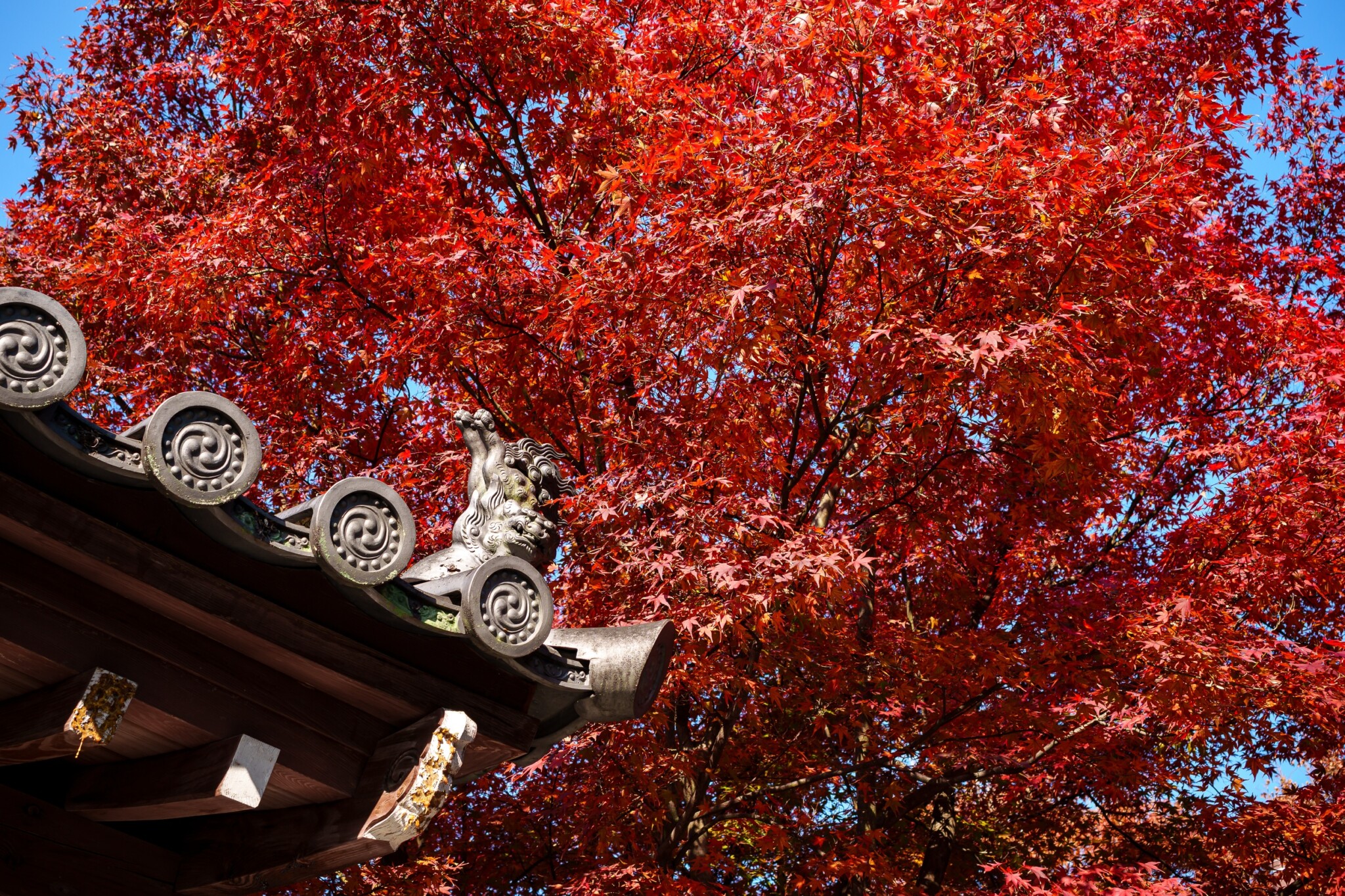 東福寺