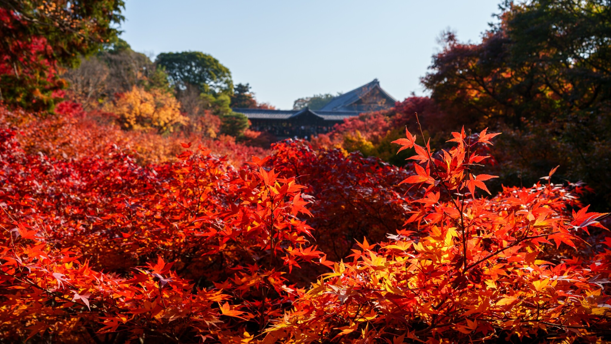 東福寺