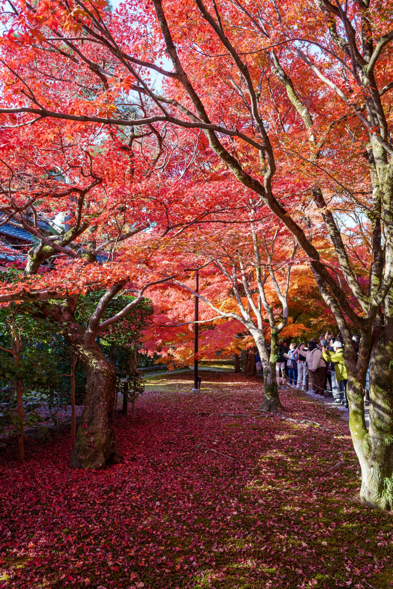 東福寺