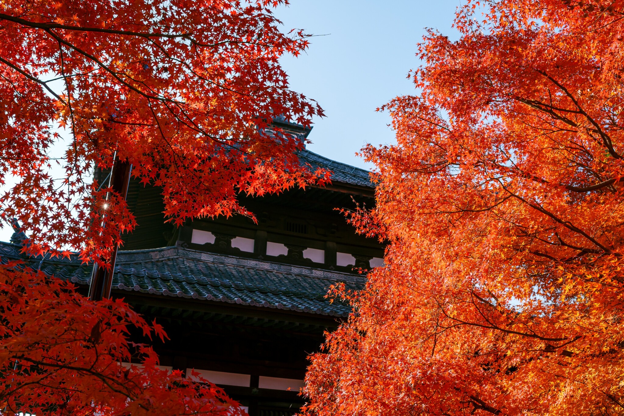 東福寺