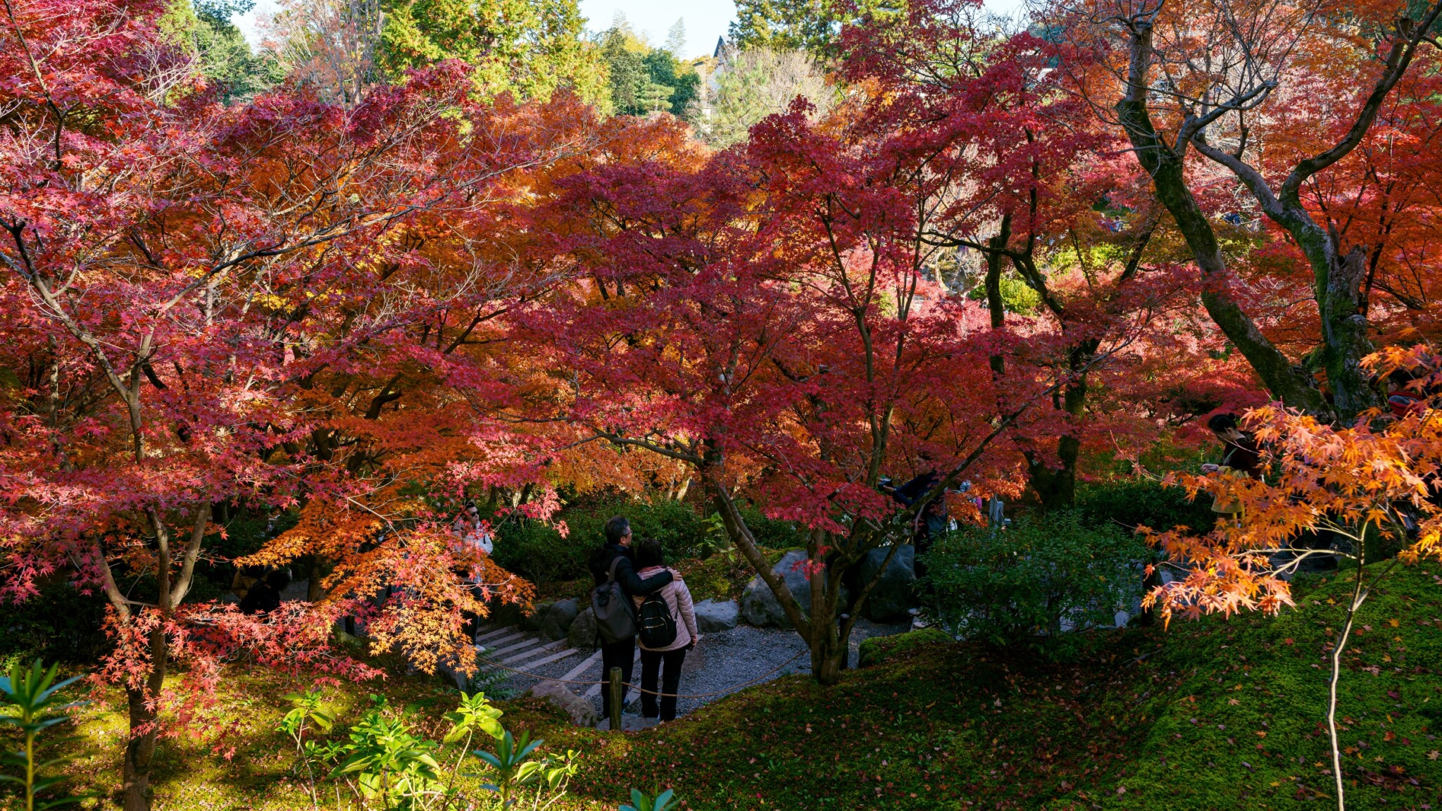 東福寺