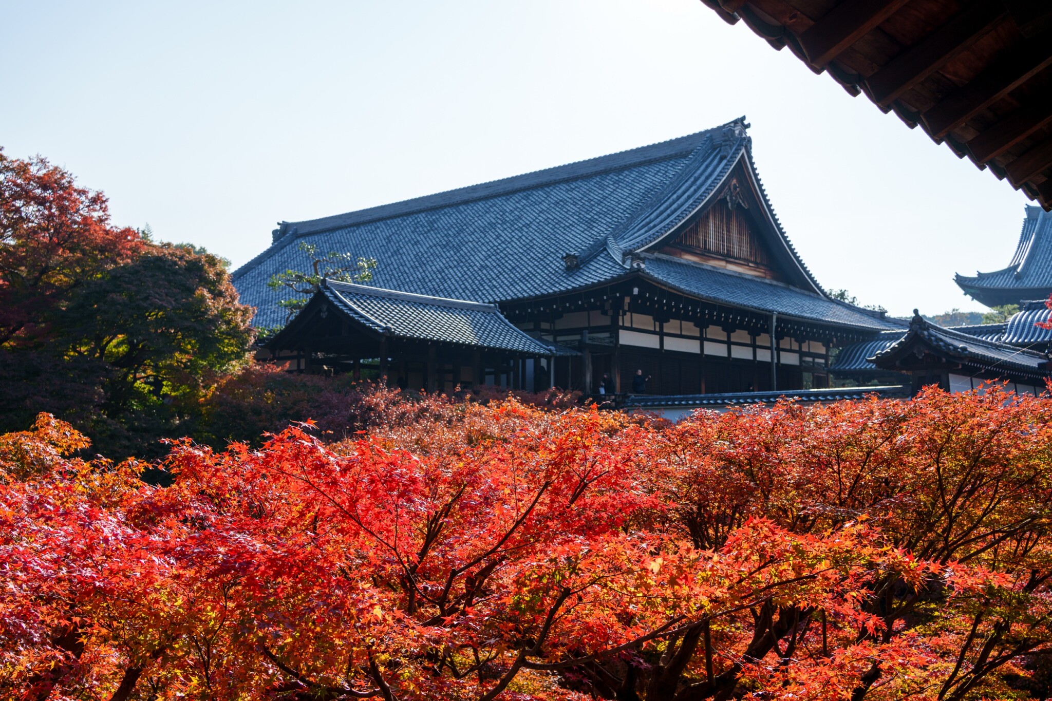 東福寺