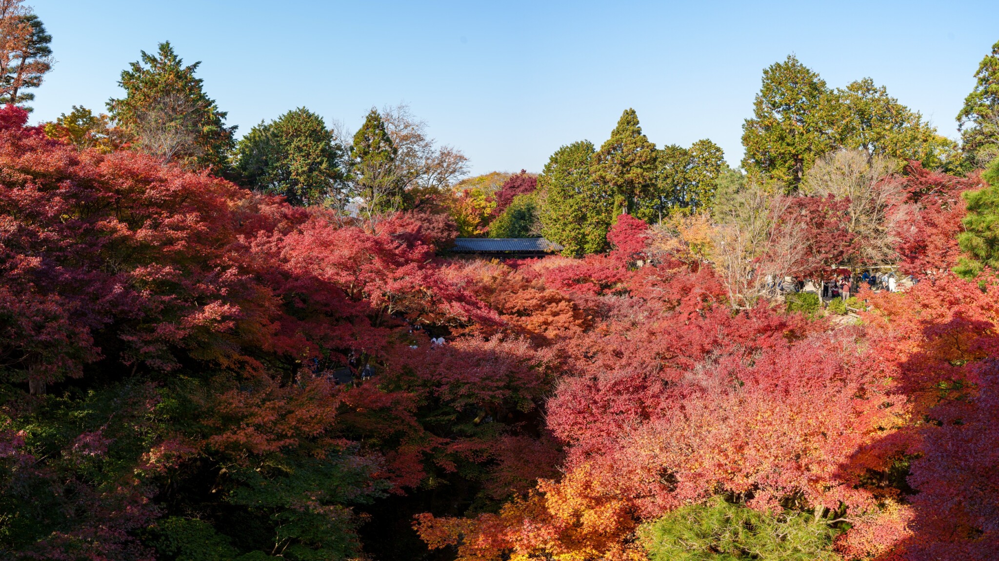 東福寺