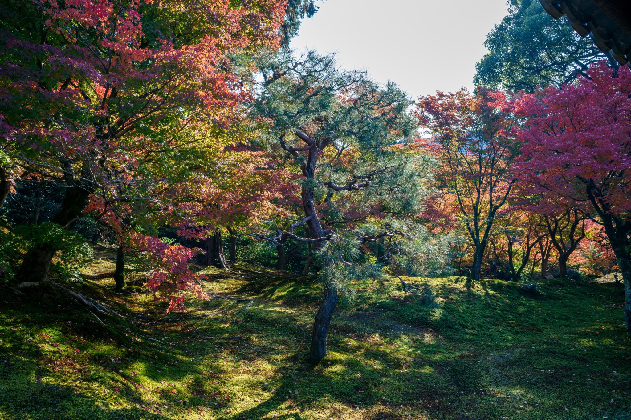 東福寺