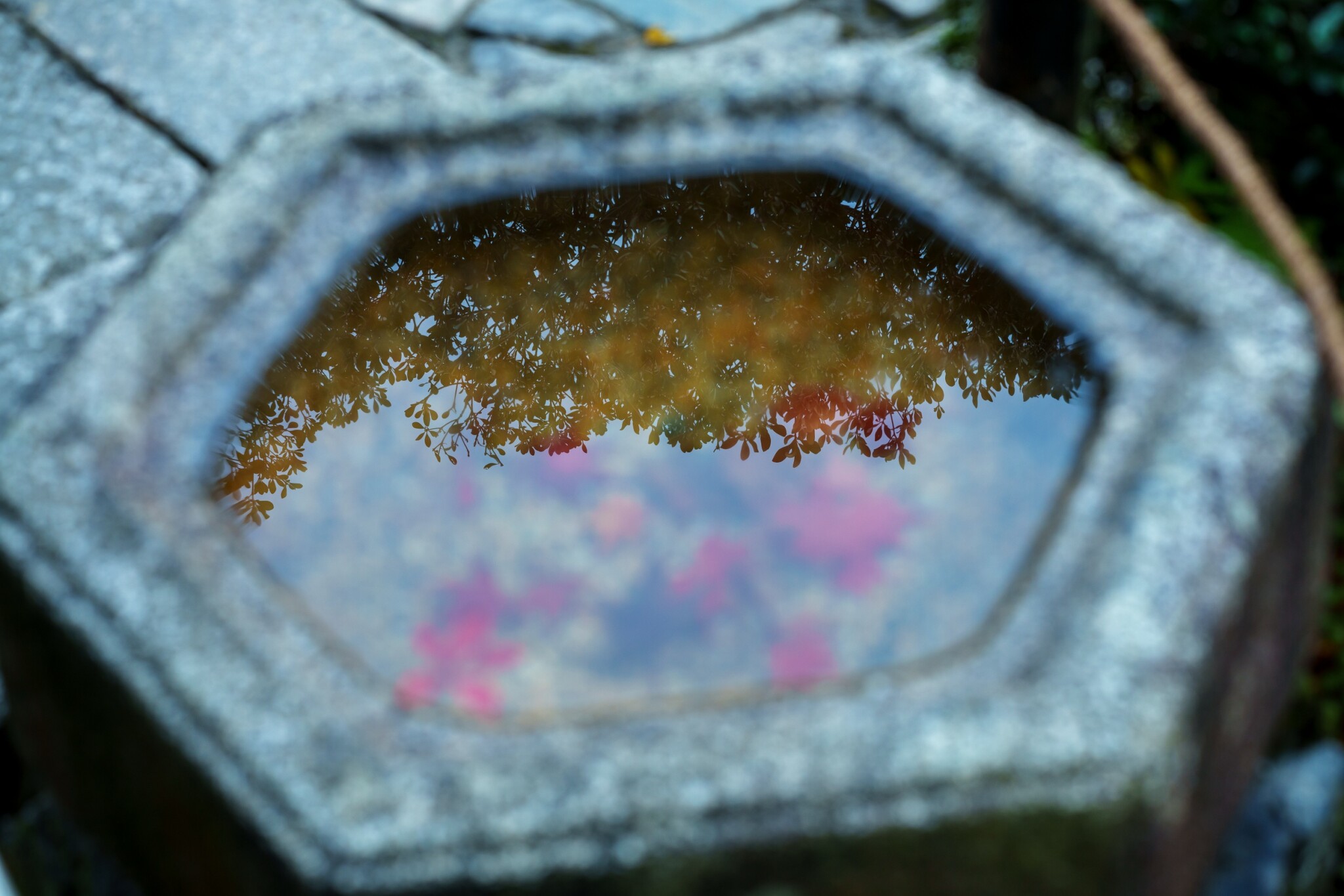 東福寺