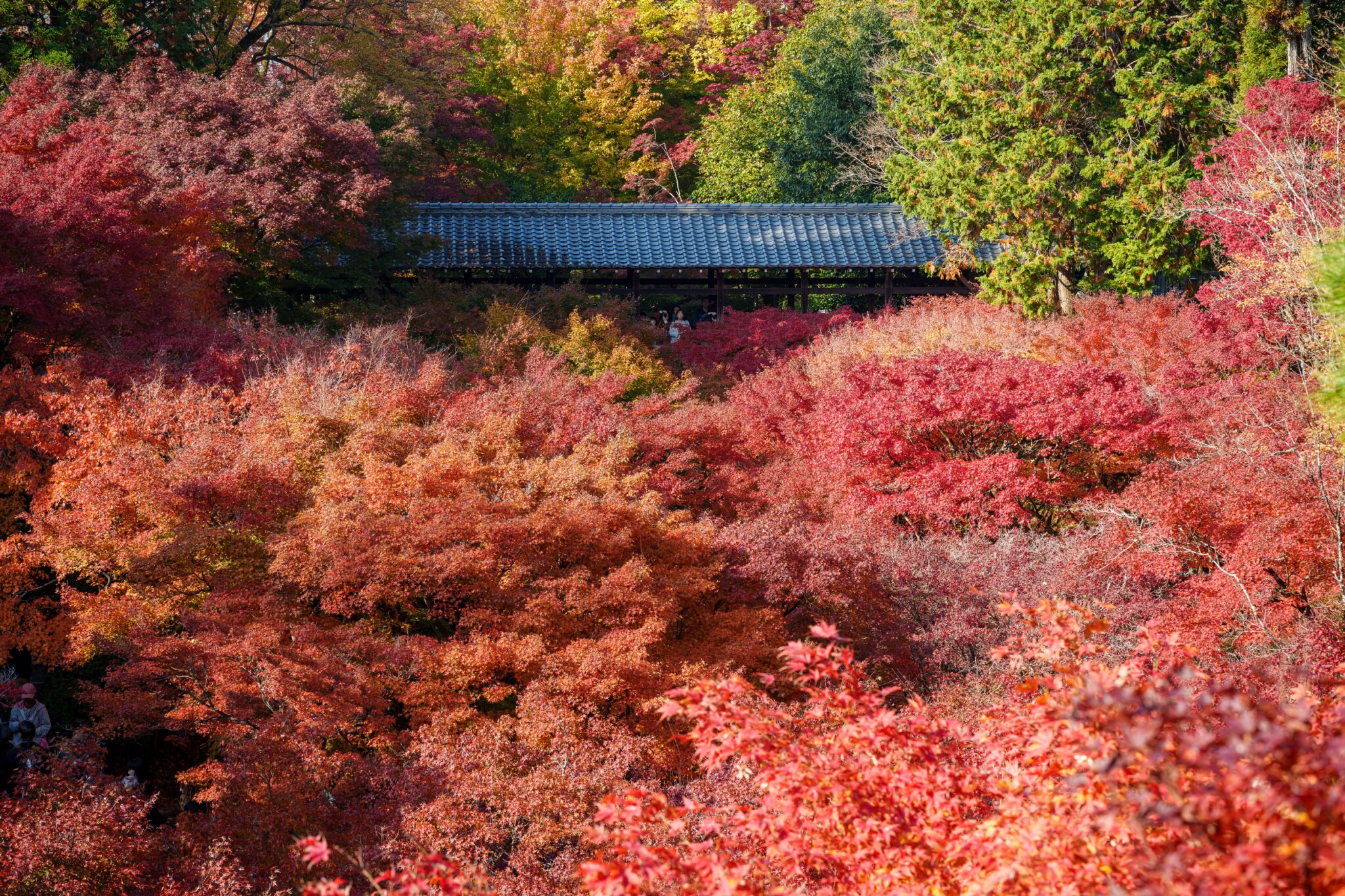 東福寺