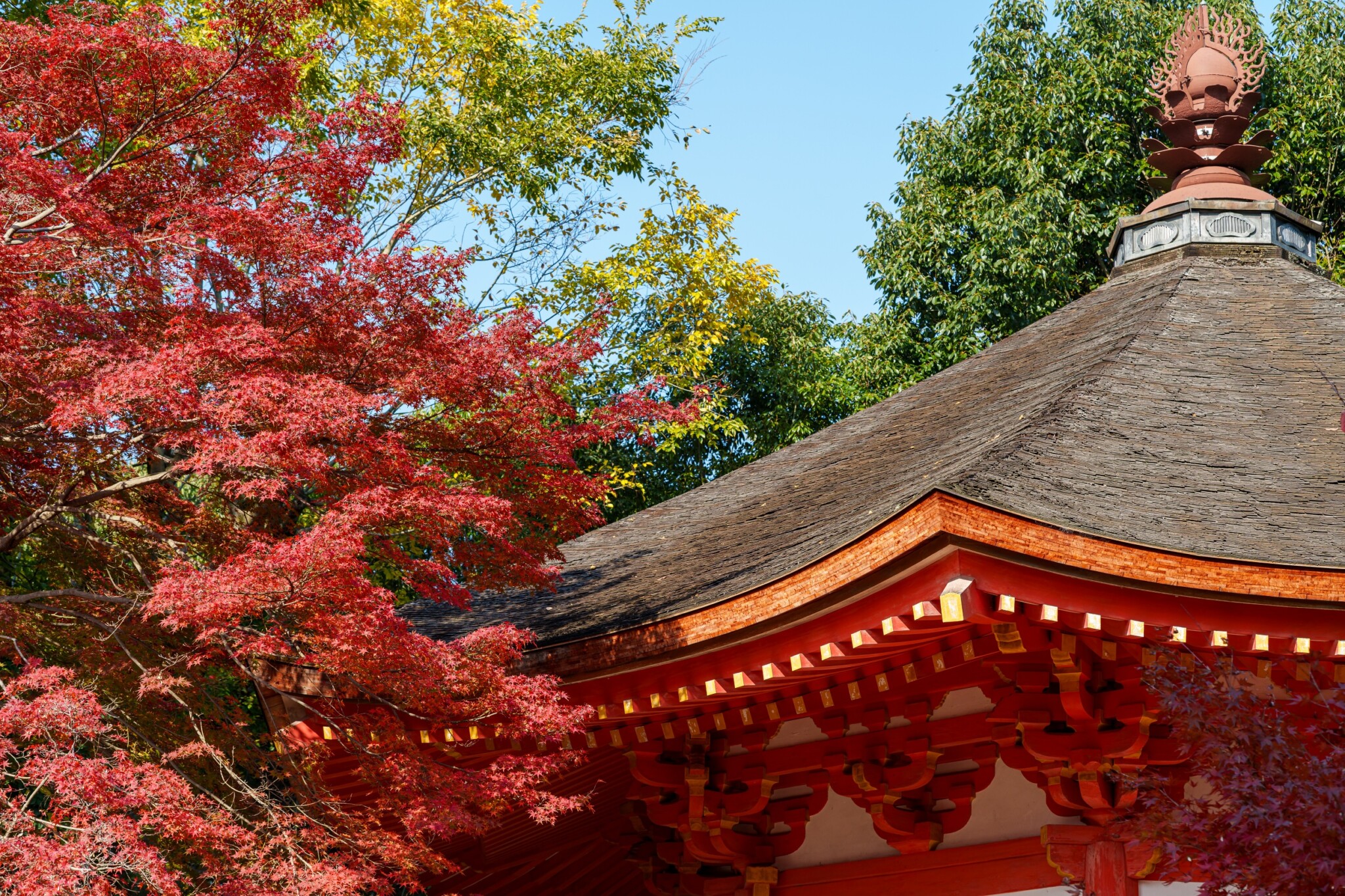 東福寺