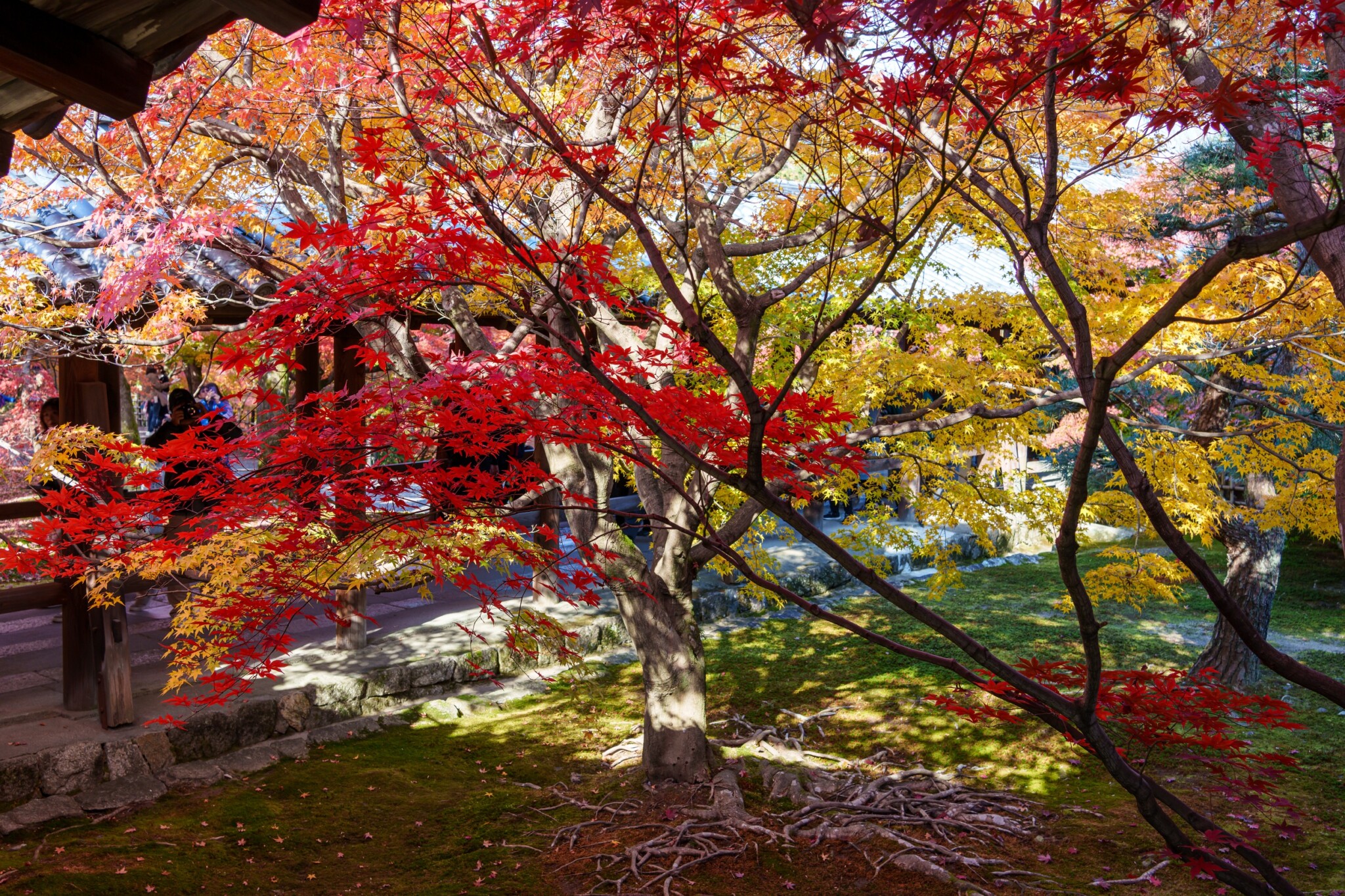 東福寺
